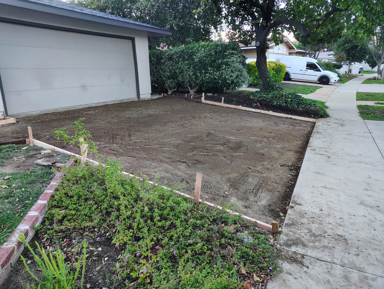 Designed outdoor living area with coordinated hardscape and planting